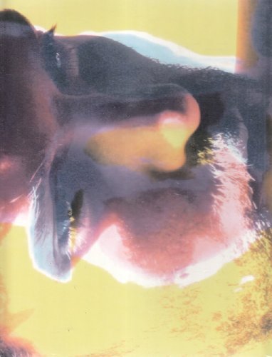 Piers Faccini/Two Grains Of Sands@Import-Eu@Two Grains Of Sands