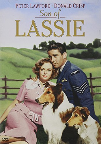 SON OF LASSIE/SON OF LASSIE