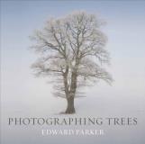 Edward Parker Photographing Trees 
