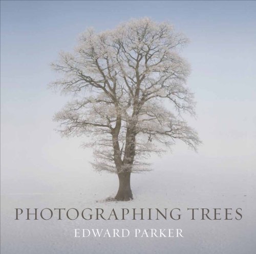Edward Parker Photographing Trees 
