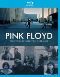 Pink Floyd Story Of Wish You We Blu Ray 