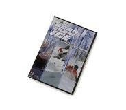 Born From Ice Born From Ice 