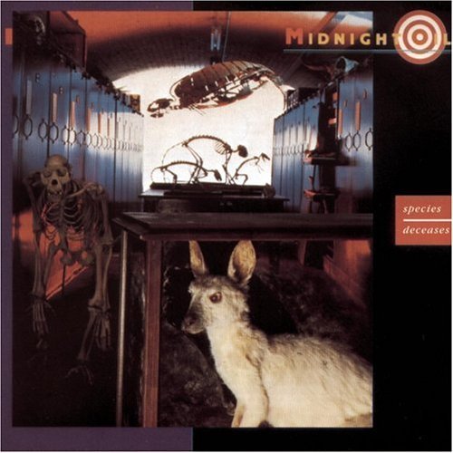 Midnight Oil/Species Decreases