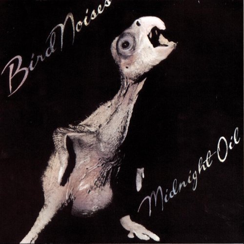 Midnight Oil/Bird Noises