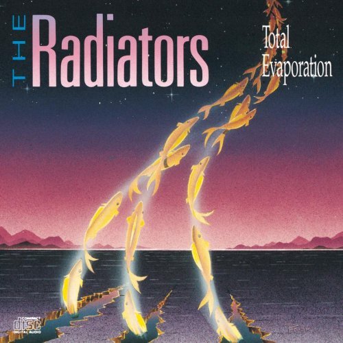 RADIATORS/TOTAL EVAPORATION