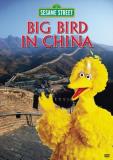 Sesame Street Big Bird In China Clr Chnr 