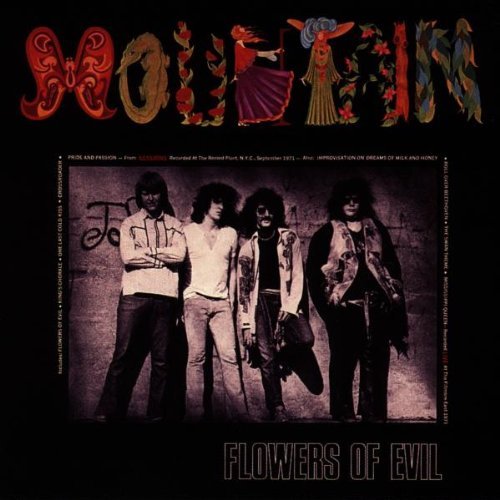 Mountain/Flowers Of Evil