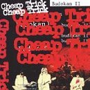 Cheap Trick/Budokan Ii