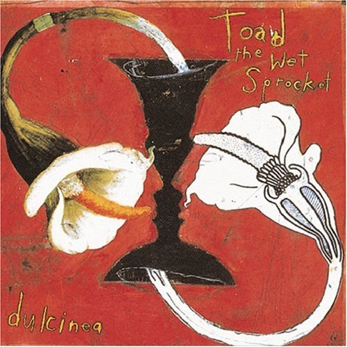 Toad The Wet Sprocket/Dulcinea
