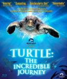 Turtle The Incredible Journey Turtle The Incredible Journey Blu Ray Ws G 