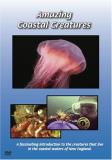 Amazing Coastal Creatures Amazing Coastal Creatures 