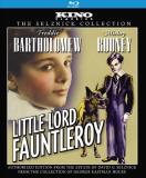 Little Lord Fauntleroy Little Lord Fauntleroy Blu Ray Ws Nr 
