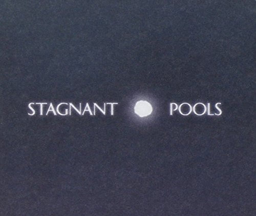 Stagnant Pools/Temporary Room