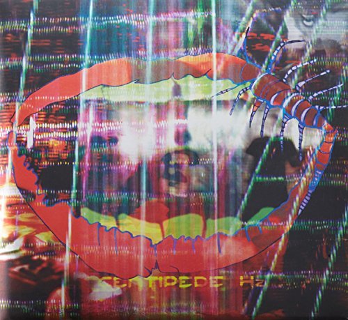Animal Collective/Centipede Hz