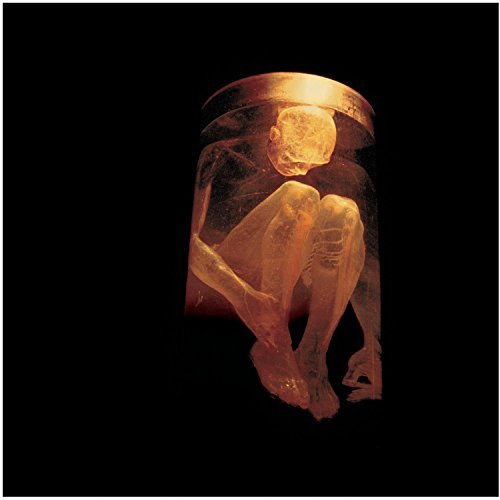 Alice In Chains/Nothing Safe-Best Of The Box