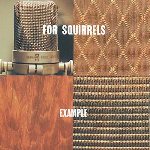 FOR SQUIRRELS/EXAMPLE