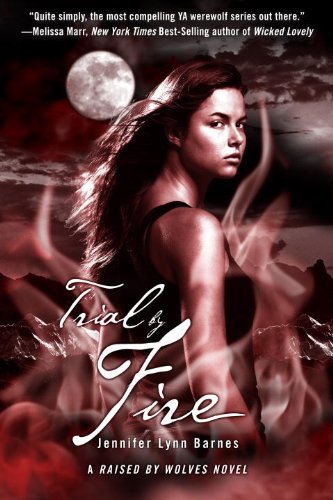Jennifer Lynn Barnes Trial By Fire 