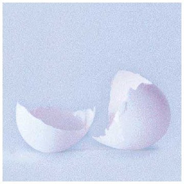 Wilco/Ghost Is Born@Import-Eu
