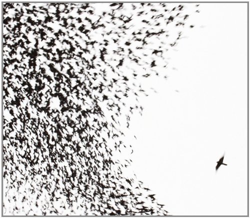 Wilco/Sky Blue Sky@Enhanced Cd