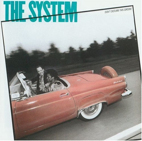 SYSTEM/DON'T DISTURB THIS GROOVE