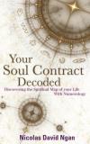 Nicolas David Your Soul Contract Decoded Discover The Spiritual Map Of Your Life With Nume 