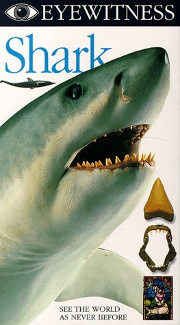 Shark/Eyewitness@Clr@Nr