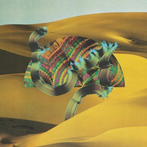 Django Django/Django Django@2 Lp/Incl. Mp3 Download