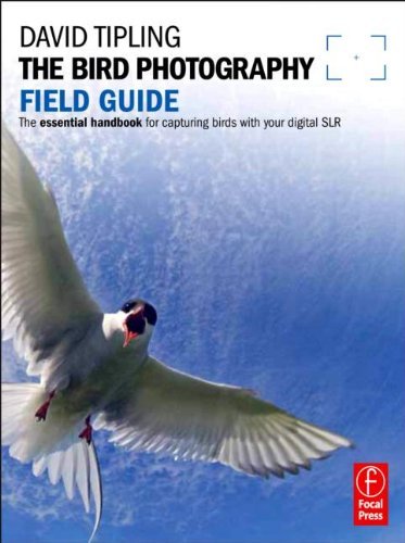 David Tipling The Bird Photography Field Guide The Essential Handbook For Capturing Birds With Y 
