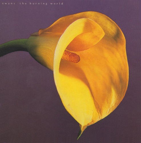 SWANS/BURNING WORLD