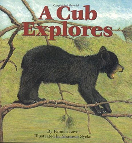 Pamela Love/A Cub Explores