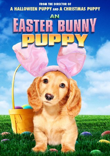 Easter Bunny Puppy/Easter Bunny Puppy@Ws@Nr