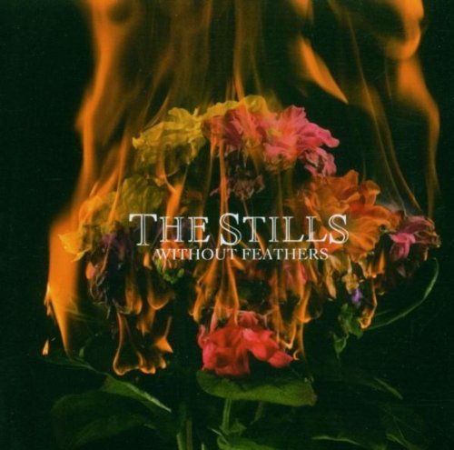 STILLS/WITHOUT FEATHERS