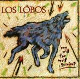 Los Lobos How Will The Wolf Survive 