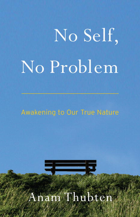 Anam Thubten No Self No Problem Awakening To Our True Nature 