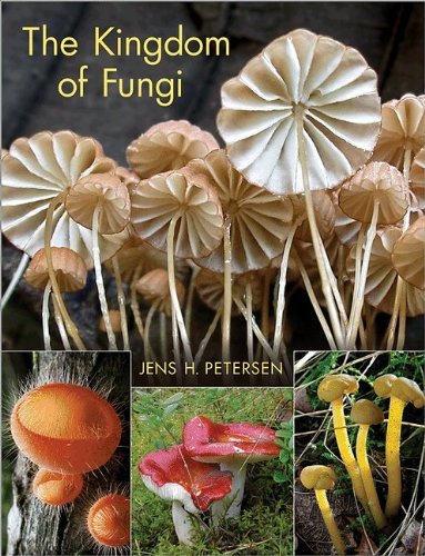 Jens H. Petersen The Kingdom Of Fungi 