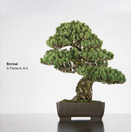 Susumu Nakamura Bonsai A Patient Art 