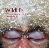 Rosamund Kidman Cox Wildlife Photographer Of The Year Portfolio 22 