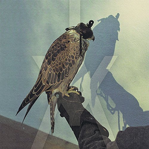 Iceage/You'Re Nothing
