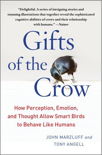 John Marzluff Gifts Of The Crow How Perception Emotion And Thought Allow Smart 
