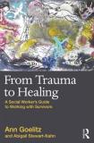 Ann Goelitz From Trauma To Healing A Social Worker's Guide To Working With Survivors 
