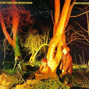 Echo & The Bunnymen/Crocodiles
