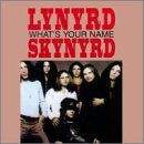 Lynyrd Skynyrd/What's Your Name