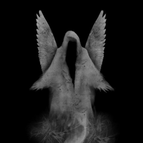 Adversaries/Wraith