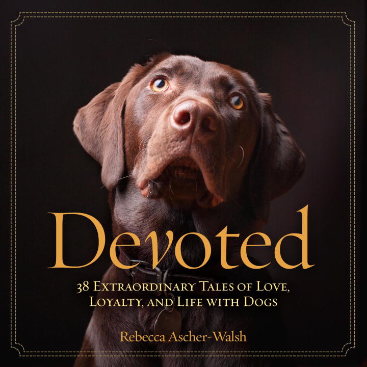 Rebecca Ascher-walsh/Devoted