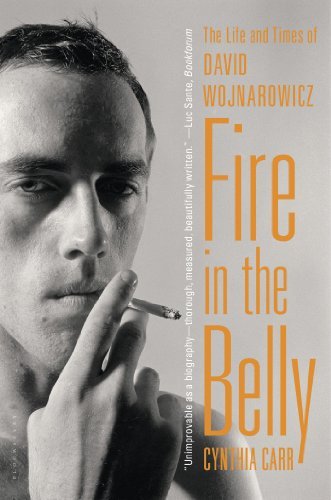 Cynthia Carr Fire In The Belly The Life And Times Of David Wojnarowicz 