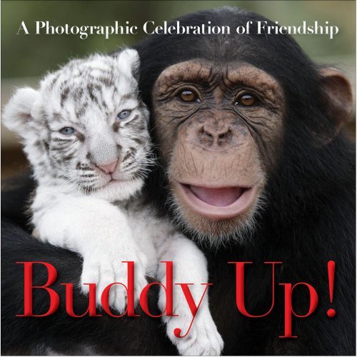 Timmy the Turtle/Buddy Up!
