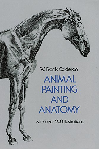 Pedro Calderon De La Barca/Animal Painting and Anatomy@Revised