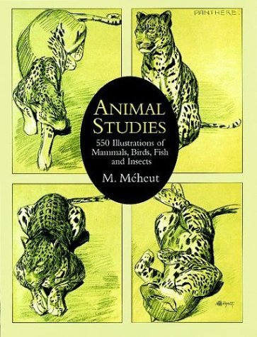 Mathurin Meheut Animal Studies 550 Illustrations Of Mammals Birds Fish And Ins 