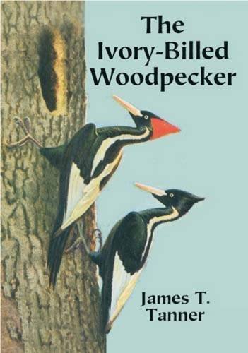 James T. Tanner The Ivory Billed Woodpecker 