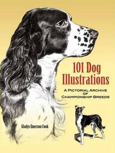 Gladys Emerson Cook 101 Dog Illustrations A Pictorial Archive Of Championship Breeds 